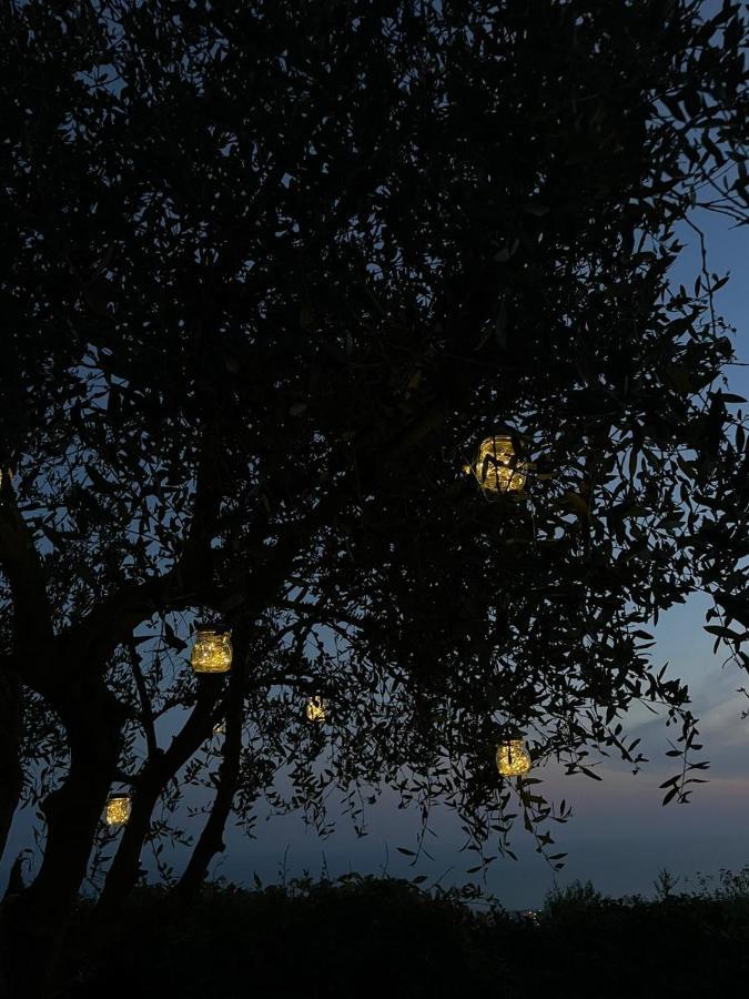 La Terrazza Sulla Versilia Pietrasanta Εξωτερικό φωτογραφία