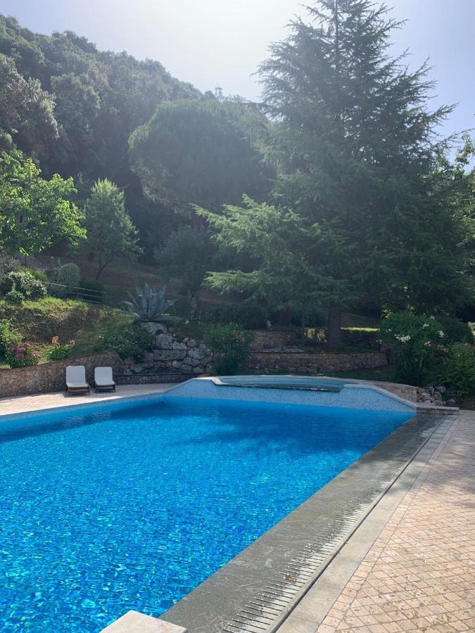 La Terrazza Sulla Versilia Pietrasanta Εξωτερικό φωτογραφία