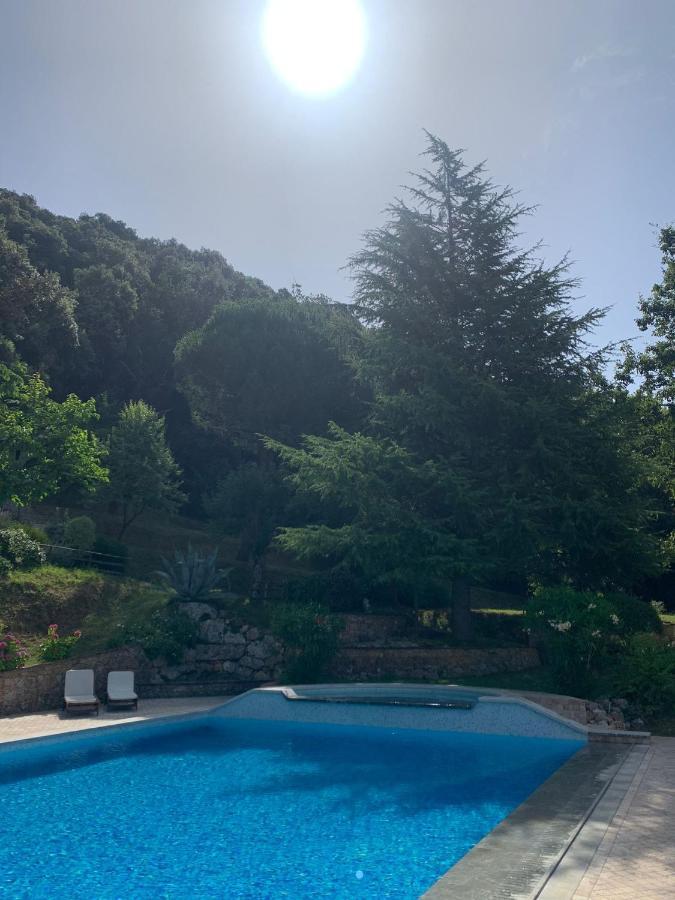 La Terrazza Sulla Versilia Pietrasanta Εξωτερικό φωτογραφία