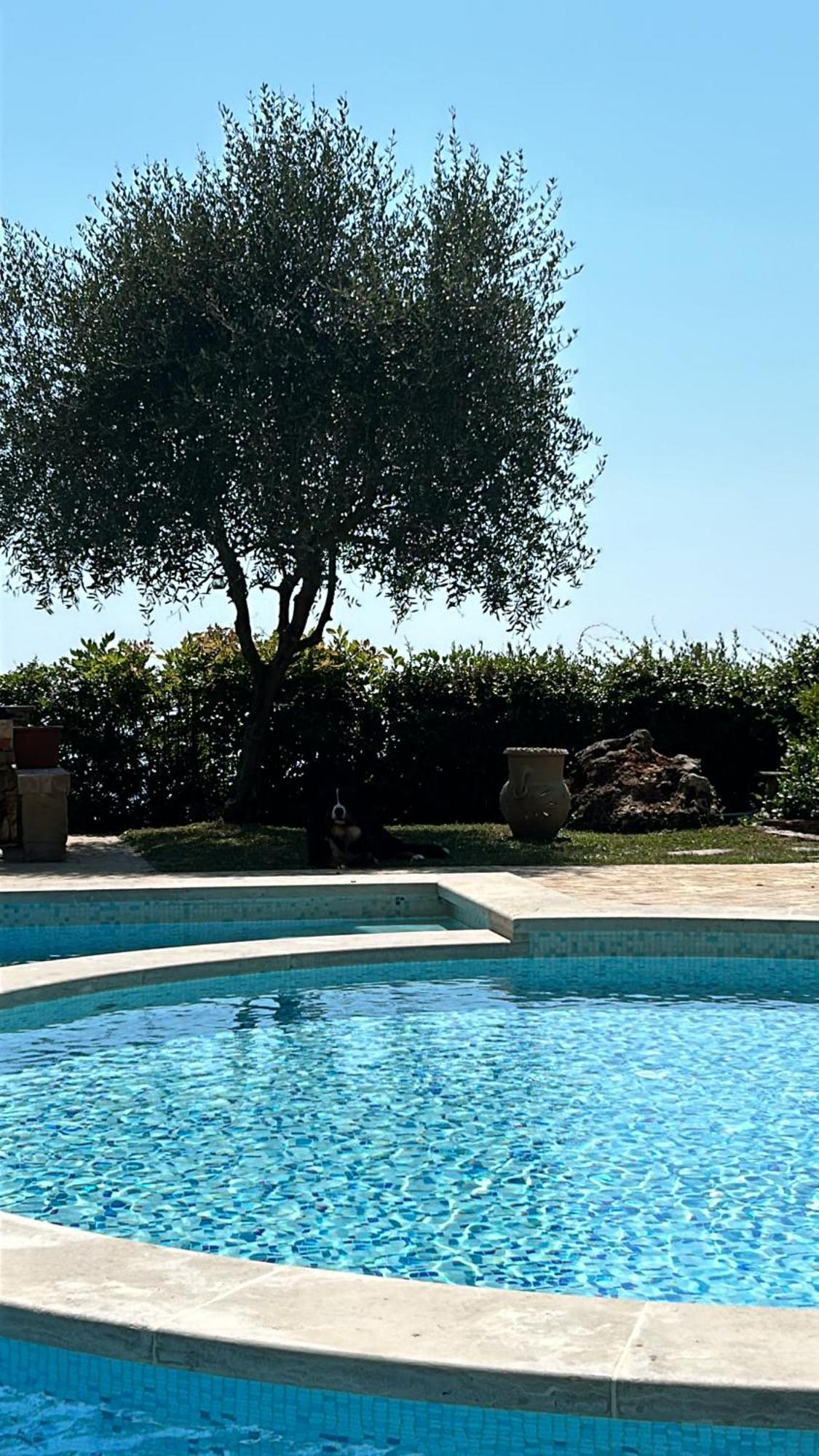 La Terrazza Sulla Versilia Pietrasanta Εξωτερικό φωτογραφία